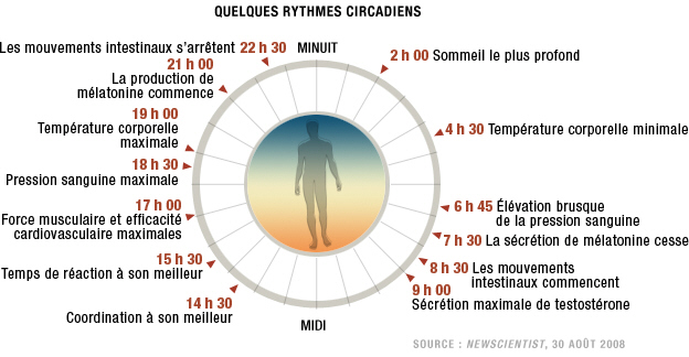 sommeil-dereglements-cycles-circadien.jpg